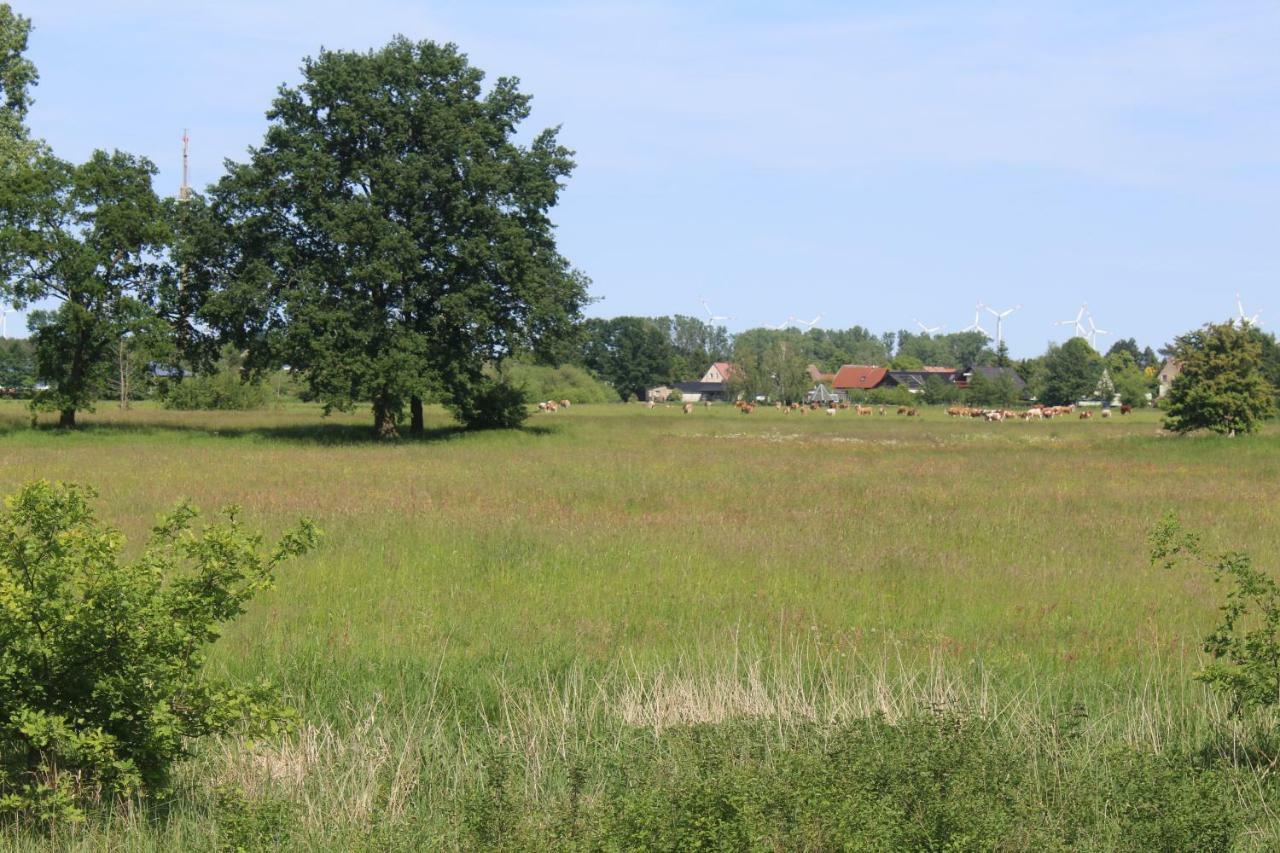 Spreewald Ferienwohnung Luebben 外观 照片